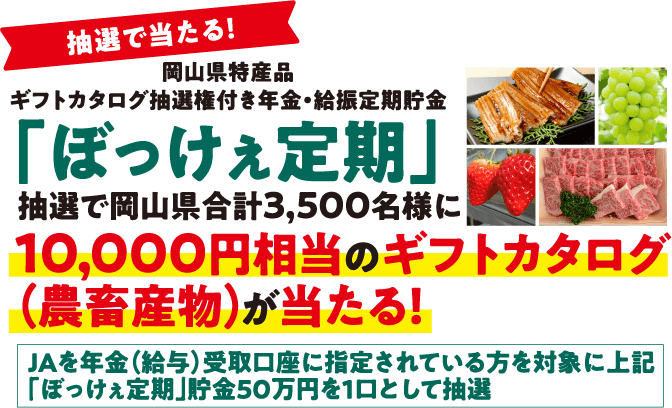 抽選で当たる！「ぼっけぇ定期」